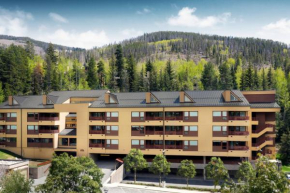 Marriott's StreamSide Douglas at Vail